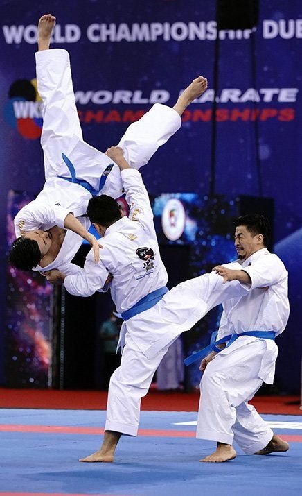 Top Martial Art Styles