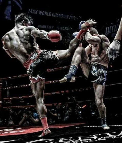 Top Martial Art Styles